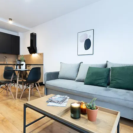 River Song Apartment Nowe Miasto Lubawskie