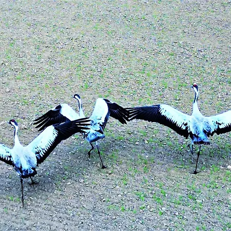 River Song Appartement *