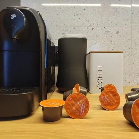 River Song * Nowe Miasto Lubawskie